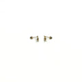 14K Yellow Gold Turtle Red CZ Stud Earrings with Screw Back
