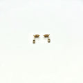14K Yellow Gold Turtle Red CZ Stud Earrings with Screw Back